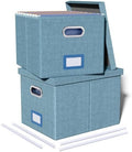 Oterri 2 Pack File Storage Organizer, Filing Box, Portable File Box with Lid, Fit for Letter/Legal File Folder Storage, Document Organizer, Dark-blue
