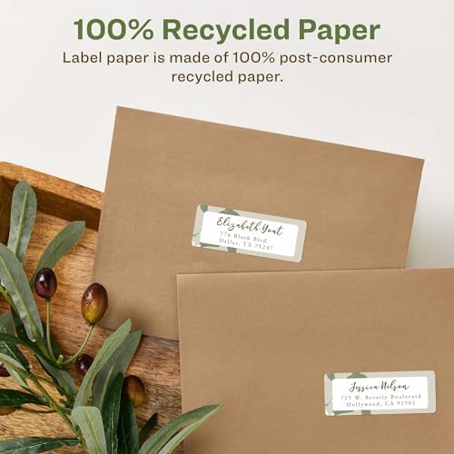 Avery® EcoFriendly Recycled Address Labels, 1" x 2-5/8", White, Permanent Label Adhesive, 750 Printable Labels (48160)