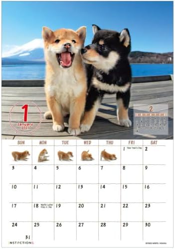 Shiba Inu Desktop Calendar 2026–2027 Set Cute Puppy Photos Japanese Scenery