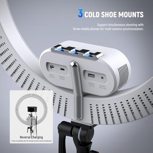 NEEWER 19" 100W High Power LED Ring Light with Tripod Stand & 3 Phone Holders Compatible with iPhone, 2900-7000K CRI97+ App&2.4G Control Lighting for Selfie Video Recording Makeup Streaming, RH100B