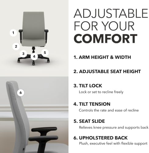 HON Ignition 2.0 Ergonomic Office Chair, Lumbar Support, Desk Chair, Fog