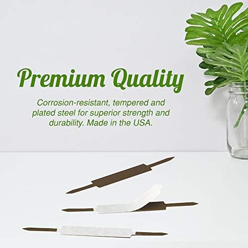 OLYMPX 100 Pcs of 2? Capacity Premium Self Adhesive Prong Paper Fastener Bases, 2.75 Inch Center for Paper File Clip Folder Accessories, 100 per Box