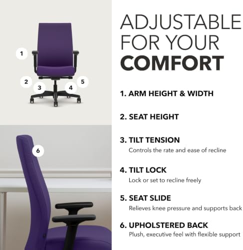 HON Ignition 2.0 Ergonomic Office Chair, Lumbar Support, Desk Chair, Iris