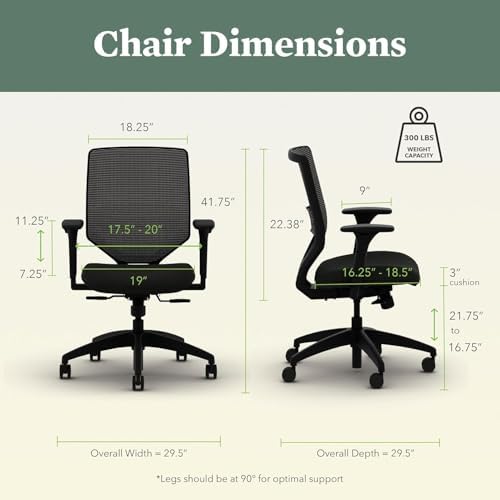 HON Solve Ergonomic Office Chair, Lumbar Support, Desk Chair, Fog