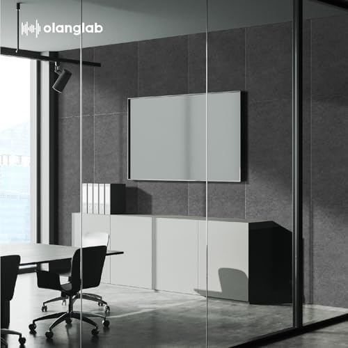 Olanglab Acoustic Wall Panels, 10 Pack, 48" x 24", Plain Dark Gray