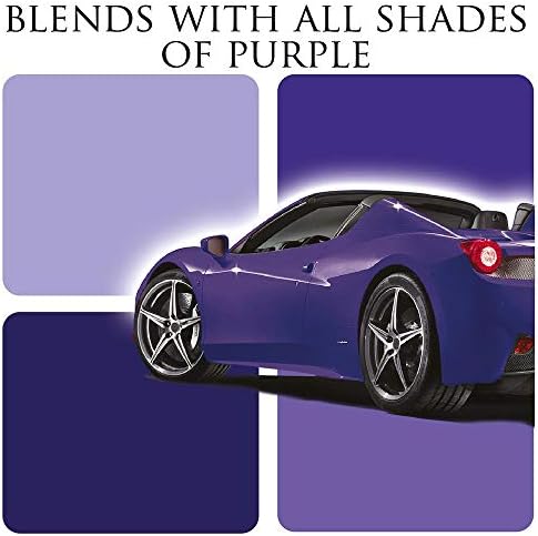 Car Gods Iris Custom Color Purple 3-in-1 Polish Wax Color Restorer & Scratch Remover, 16 Colors Available, 17 Fl Oz