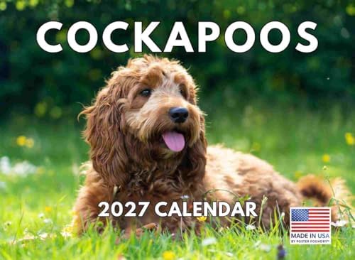 Cockapoo Calendar 2027 Monthly Wall Calender 12 Month