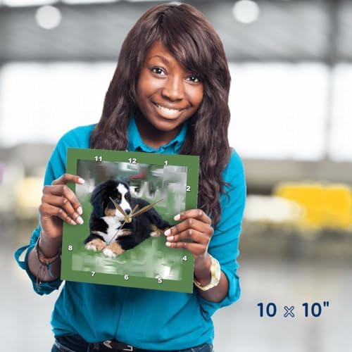 3dRose DPP_4038_1 Bernese Mountain Dog Wall Clock, 10 by 10-Inch