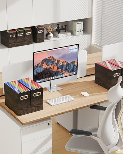 Oterri Portable Collapsible Cardboard File Box with Handle for Letter-Size | 4-Pack. Stainless Steel Handle. Label Stickers Included. Fits Letter Folders (Not Included). Home, Office, School, Dorm, Tax.
