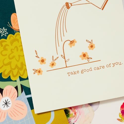 Hallmark Bulk All Occasion Cards, 100-Pack with Organizer (Black Stripes)