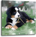 3dRose DPP_4038_2 Bernese Mountain Dog Wall Clock, 13 by 13-Inch