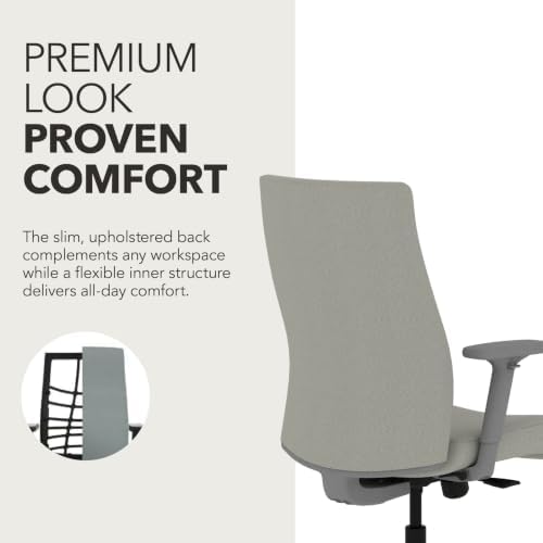 HON Ignition 2.0 Ergonomic Office Chair, Lumbar Support, Desk Chair, Fog