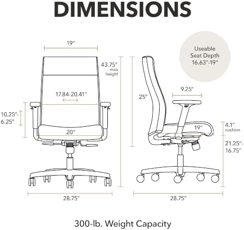 HON Ignition 2.0 Ergonomic Office Chair, Lumbar Support, Desk Chair, Pear