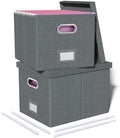 Oterri 2 Pack File Storage Organizer, Filing Box, Portable File Box with Lid, Fit for Letter/Legal File Folder Storage, Document Organizer, Dark-gray