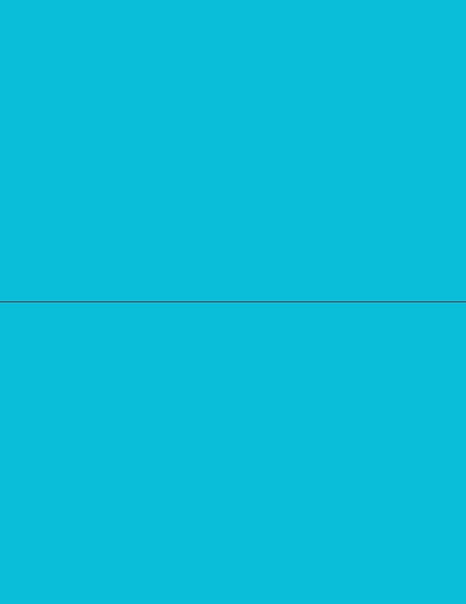 NextDayLabels - 8-1/2 x 11 Neon Color High Light Fluorescent Labels for Laser & Inkjet Printer (Blue Fluorescent, 8-1/2" x 5-1/2" - 2 Per Page | 200 Labels)