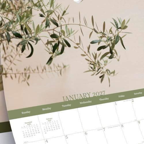Blueline® 2027 Colorful Monthly Wall Calendar, 12 Months, January to December, Gold Twin-Wire Binding, 12" x 17", Minimalist (C173121)