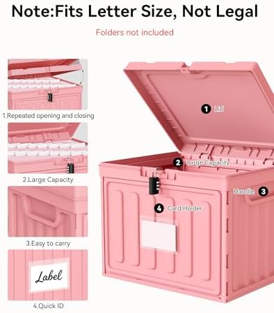 Oterri Lockable Plastic File Box with Lid for Letter-Size | Hanging File Folders Not Included. Pink, Large 2-Pack. Home, Office, Classroom, Dorm, Tax, Under Bed, Filing Cabinet.