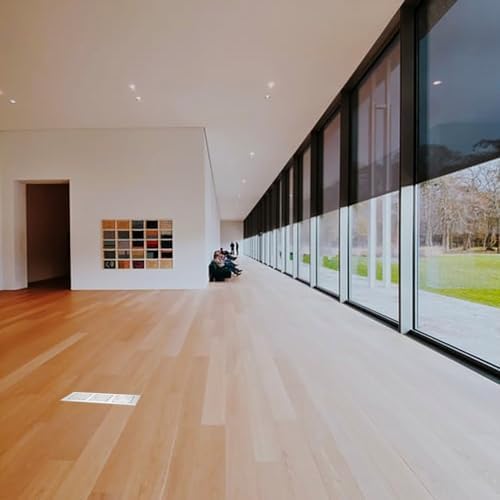 Legrand Wiremold OmniBox GFCI Floor Box Cover Plate Brushed Aluminum 1 Pack