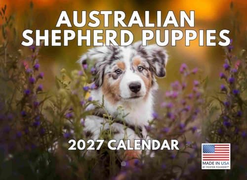 Australian Shepherd Puppy Calendar 2027 Monthly Wall Calender 12 Month