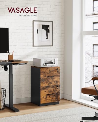 VASAGLE 2 Drawer File Cabinet with Locks, for A4, Letter Sized Documents