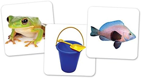Learning Resources Vowel Owls Sorting Set - Phonics Games for Kids, Vowel Sounds, Toddlers Vocabulary Building, ABC Word Game, Reading skills Toys, Learn to Read, Gifts for Boys and Girls, multicolor
