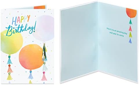 Papyrus Deluxe Boxed Birthday Card Assortment, Bright Birthday (4-Count)