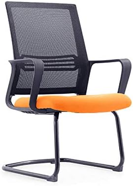 Home Office Chair with Mid-Back Rotating Waist Support Desk Task Computer Chair Ergonomic Comfortable Mesh Armchair (B)
