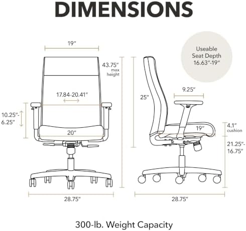 HON Ignition 2.0 Ergonomic Office Chair, Lumbar Support, Desk Chair, Frost