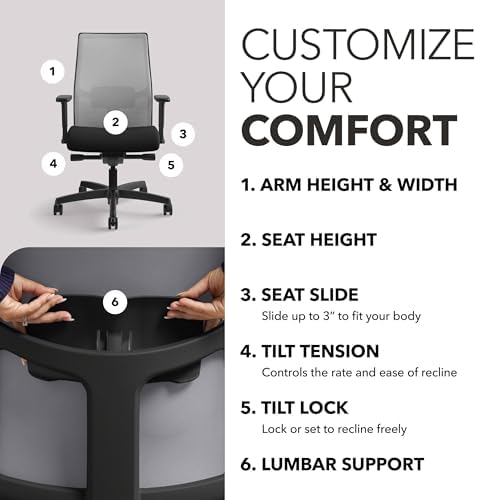 HON Ignition 2.0 Ergonomic Office Chair, Lumbar Support, Desk Chair, Fog