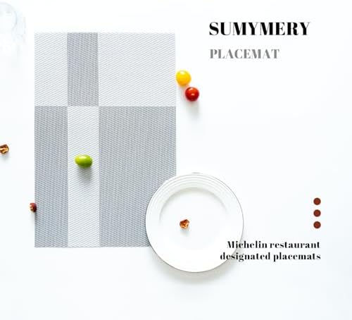 Placemats Set of 4 Vinyl/Plastic Woven Place Mats for Kitchen Table Indoor/Outdoor Washable Placemat Wipeable Dining Table Mats (Silver Cube,4)
