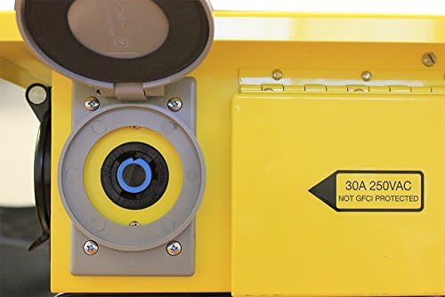 PREMIUM CONSTRUCTION POWER DISTRIBUTION BOX: Crafted by WESTERN, the 6506TLSX Temp power box features a durable blend material for long-lasting performance in demanding environments.