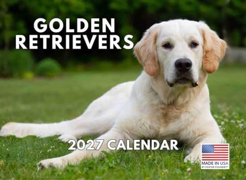 Golden Retriever Calendar 2027 Monthly Wall Calender 12 Month