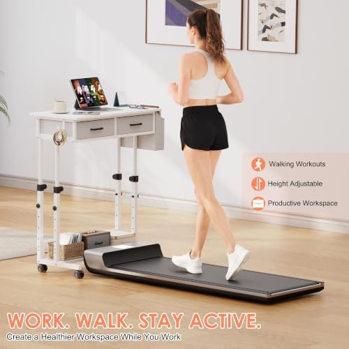 Standing Desk with Wheels, Adjustable Height Rolling Desk with 2 Drawers