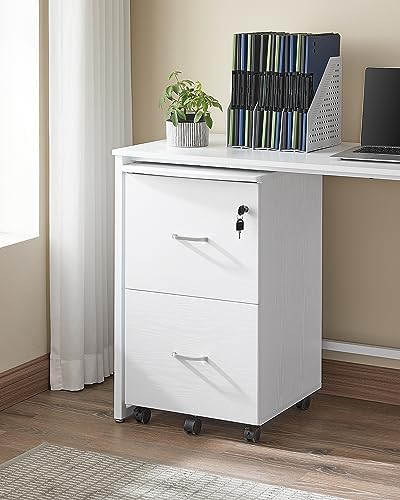VASAGLE 2-Drawer File Cabinet, Small Rolling, Locking, Printer Stand