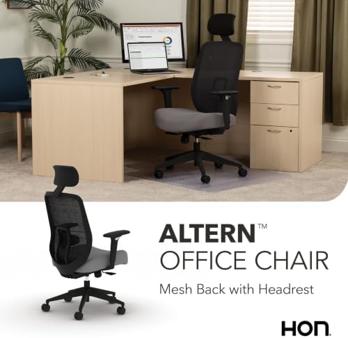 HON Altern Ergonomic Office Chair, Office Desk Computer Chair, Frost