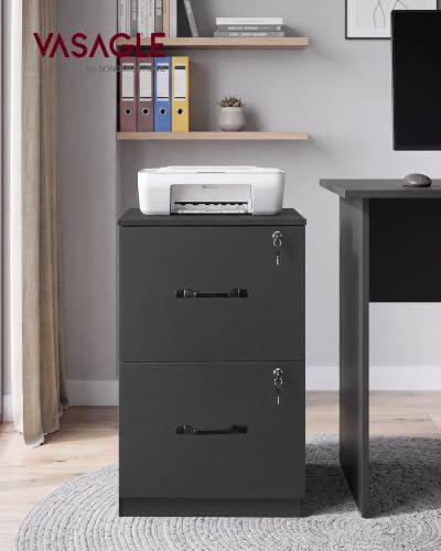 VASAGLE 2 Drawer File Cabinet with Locks, for A4, Letter Sized Documents