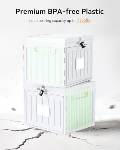 Oterri Lockable Plastic File Box with Lid for Letter-Size | Hanging File Folders Not Included. White, Large 1-Pack. Home, Office, Classroom, Dorm, Tax, Under Bed, Filing Cabinet.