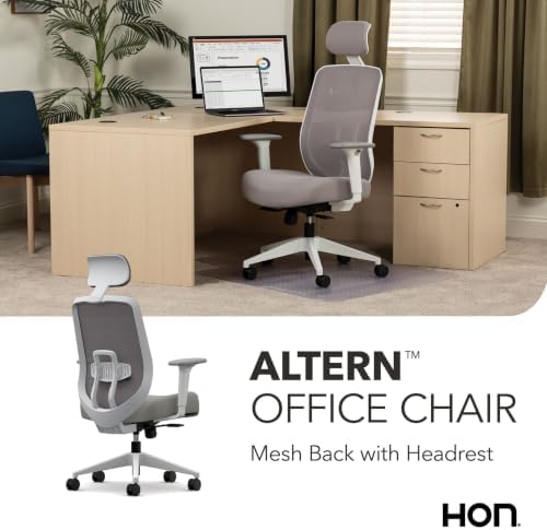 HON Altern Ergonomic Office Chair, Office Desk Computer Chair, Fog