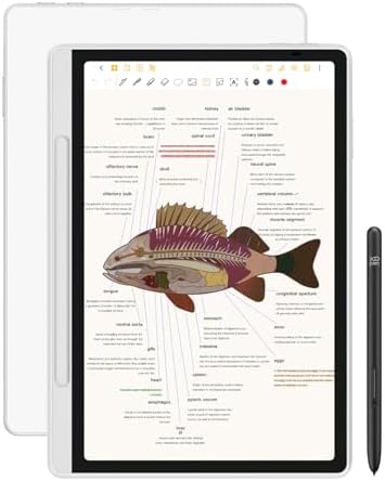 XPPen 3 in 1 Color Digital Notebook 10.95'' Paper Note Taking Tablet with 16384 Pressure Levels Battey-Free X3 Pro Pencil 2 Magnetic Folio 6+128GB Magic Note Pad for Writing/Reading/Meeting/Study