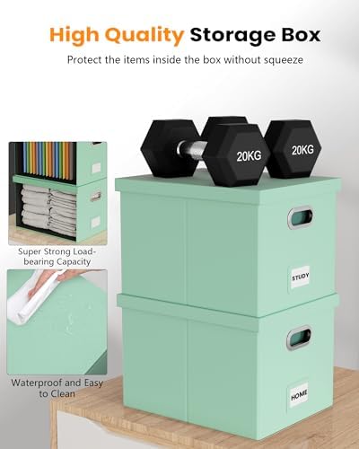 Oterri Storage File Box(New) (Mint-green(Leather), 1 pack), AM03118