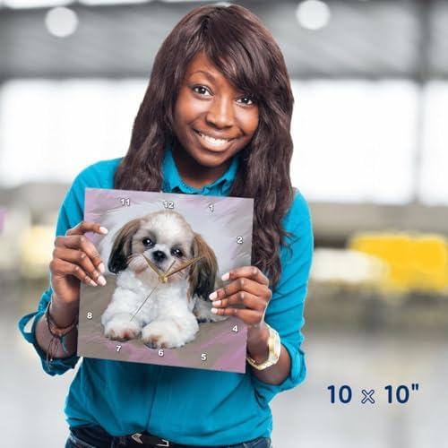 3drose Shih Tzu Puppy Wall Clock, 10 by 10-Inch