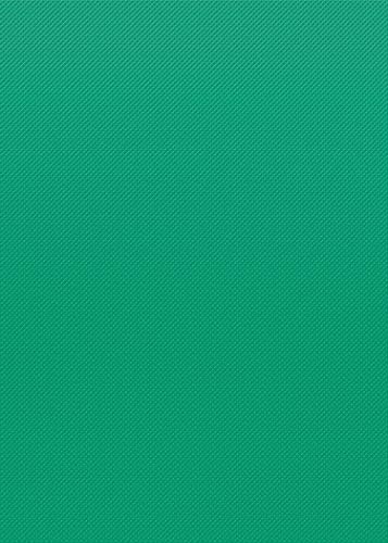 Teacher Created Resources Vivid Green Better Than Paper Bulletin Board Roll (TCR77895)