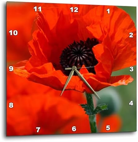 3dRose dpp_29205_1 Beautiful Red Poppy-Wall Clock, 10 by 10-Inch