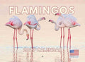 Flamingo Calendar 2027 Monthly Wall Calender 12 Month