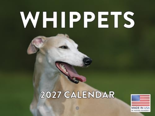 Whippet Calendar 2027 Monthly Wall Calender 12 Month