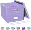 Oterri File Organizer, File Box, File Cabinet for Letter File Folder Storage, Hanging File Organizer for Office/Decor/Home,Document Organizer, 1 Pack, Lavender-Box Only