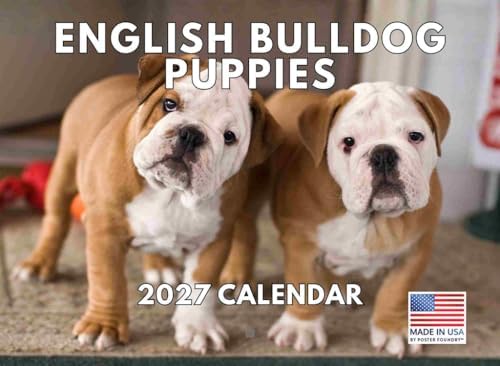 English Bulldog Puppy Calendar 2027 Monthly Wall Calender 12 Month