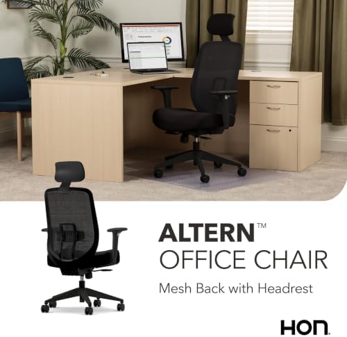 HON Altern Ergonomic Office Chair, Office Desk Computer Chair, Black