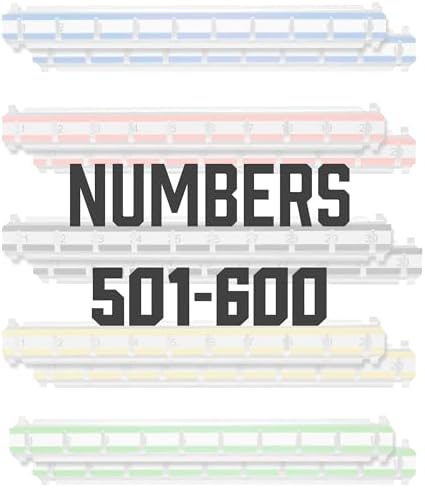 Barska Labeled Key Shelves with 501-600 Numbered Hooks for Key Cabinets