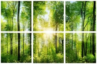 YPY Sound Absorbing Wall Art Forest Trees, Acoustic Panels Sound Proofing
